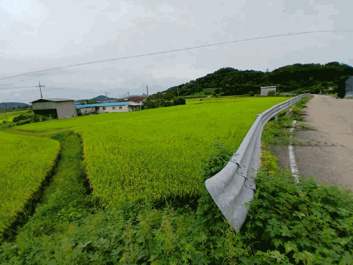 물건 사진 25