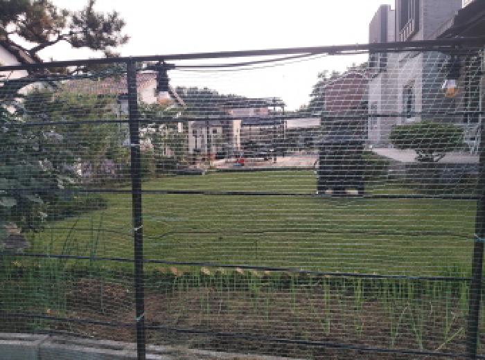 물건 사진 16