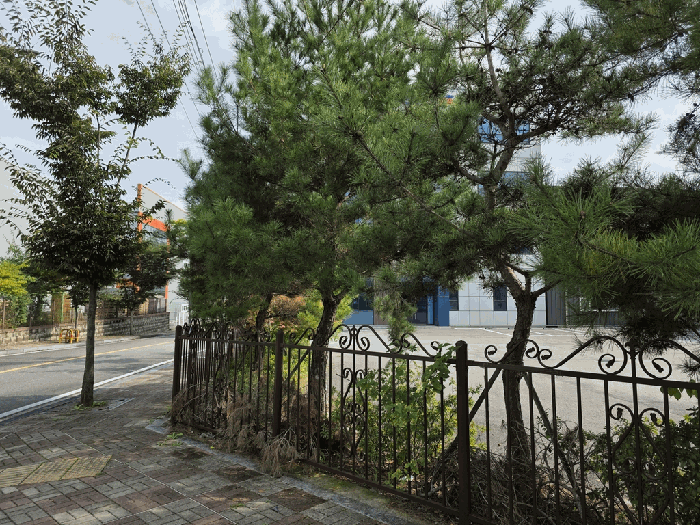 물건 사진 56
