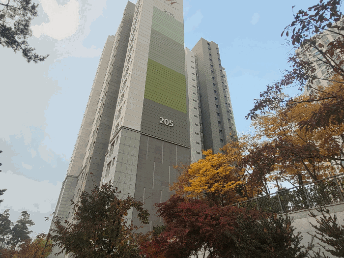 물건 사진 8