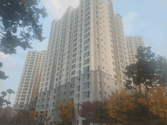물건 사진 9