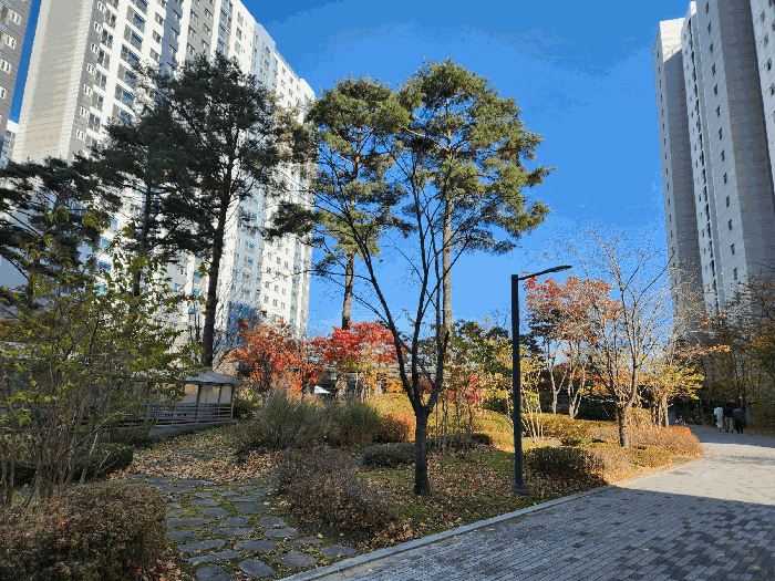 물건 사진 14