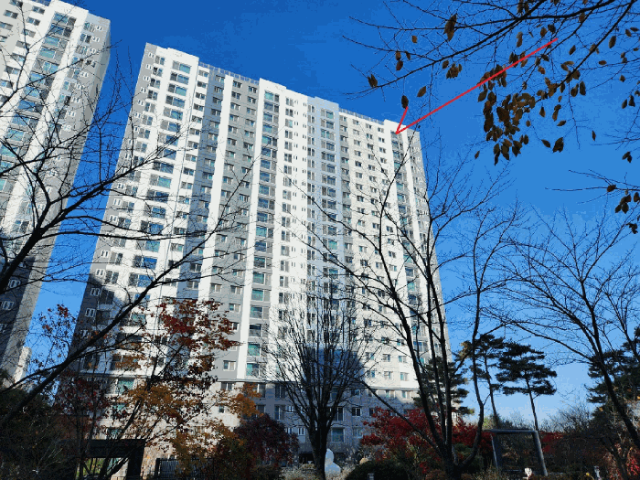 물건 사진 9