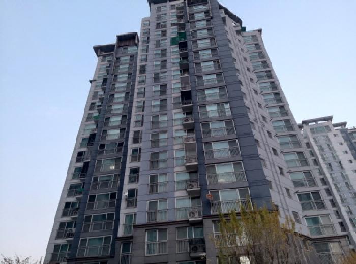 물건 사진 5