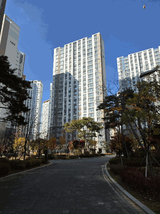 물건 사진 11
