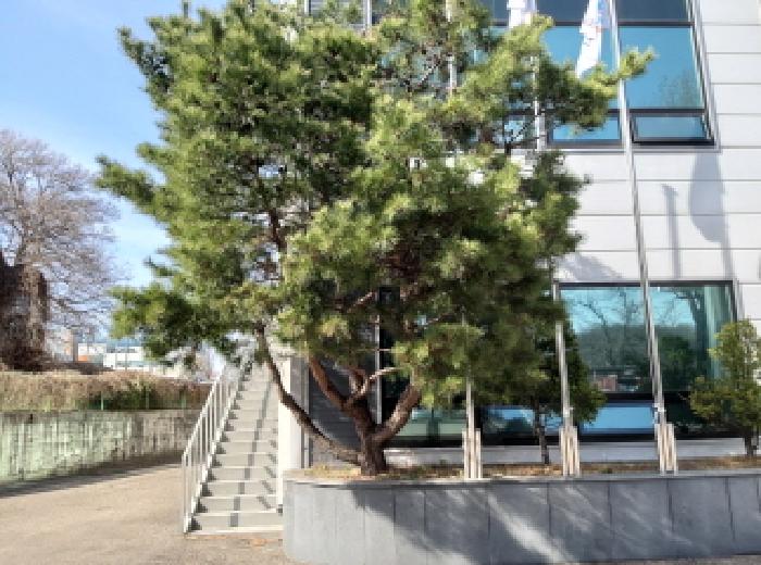 물건 사진 23