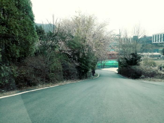 물건 사진 24