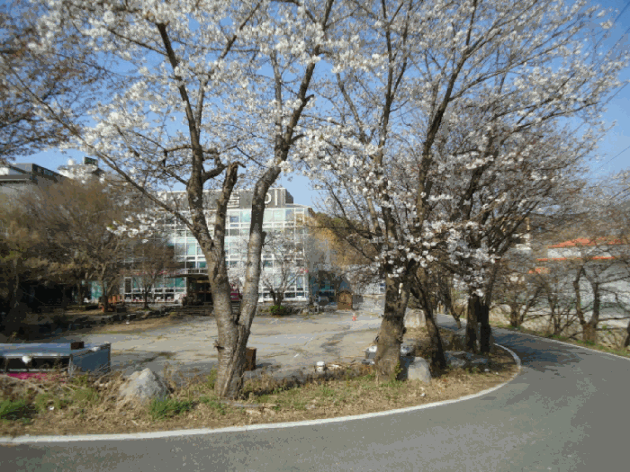 물건 사진 34