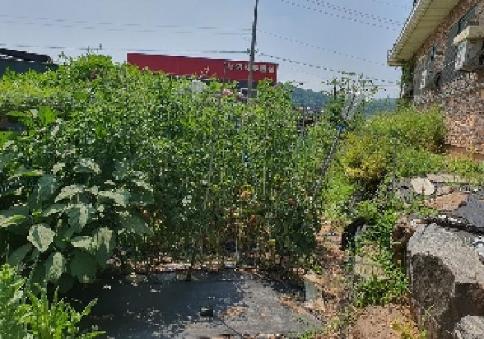 물건 사진 12