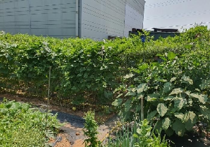 물건 사진 13