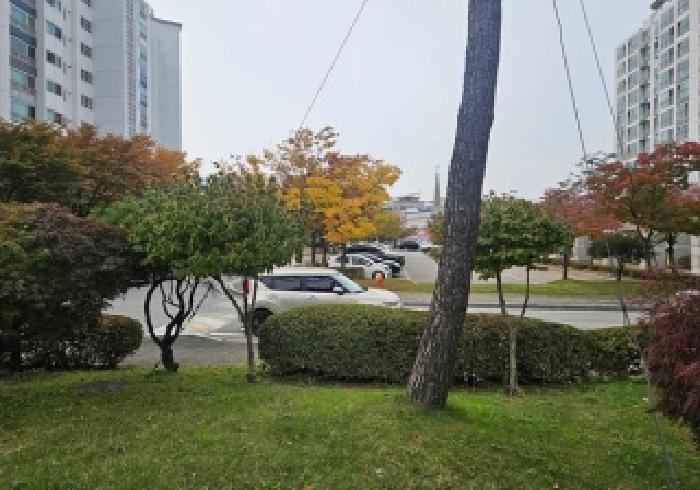 물건 사진 2