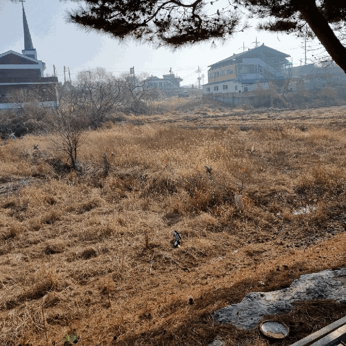 물건 사진 22