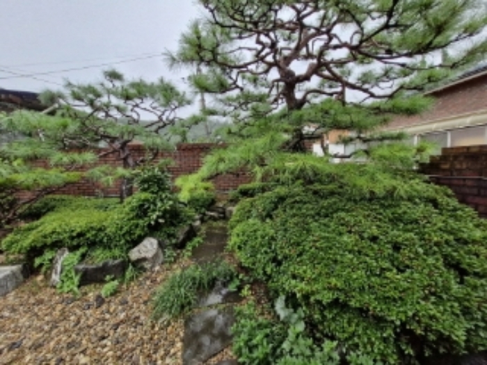 물건 사진 7