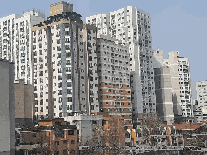 물건 사진 12