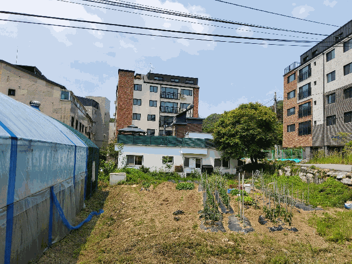 물건 사진 31