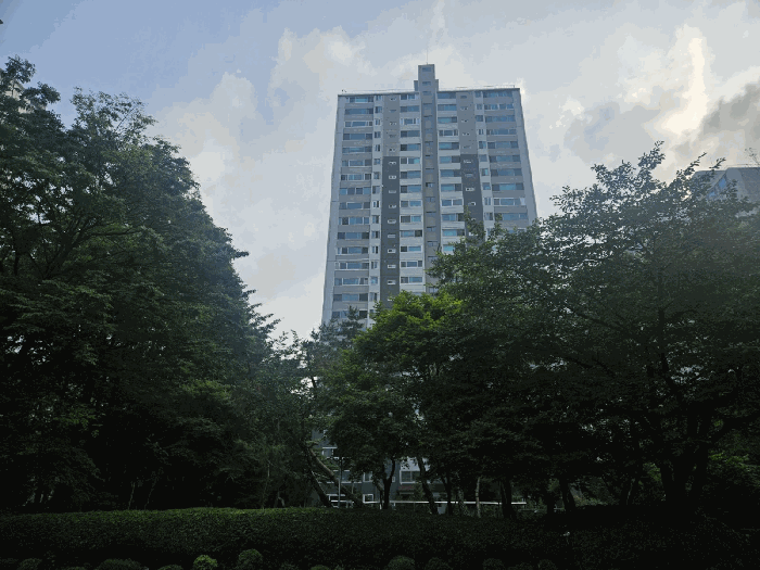 물건 사진 7