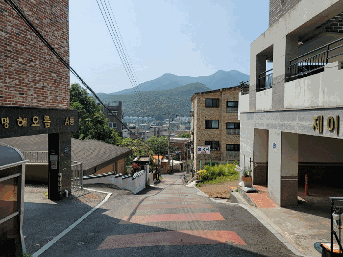 물건 사진 12