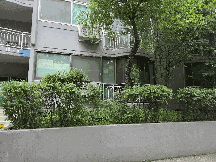 물건 사진 12