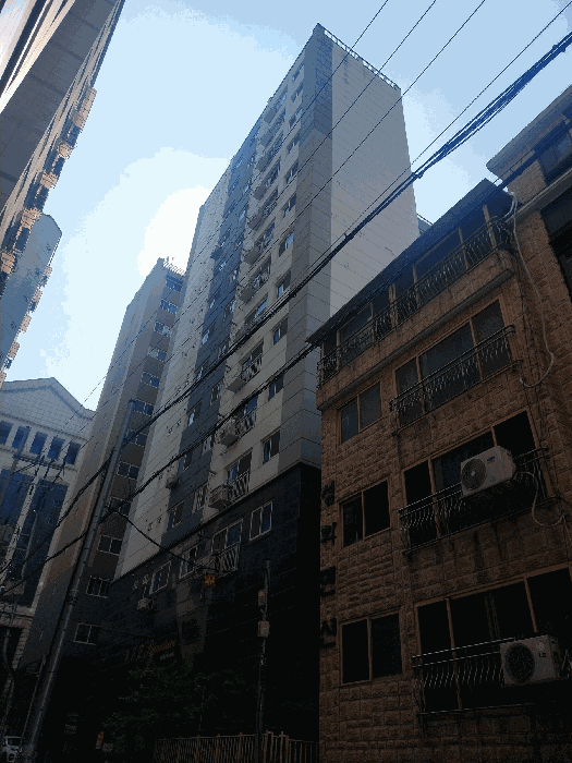 물건 사진 13