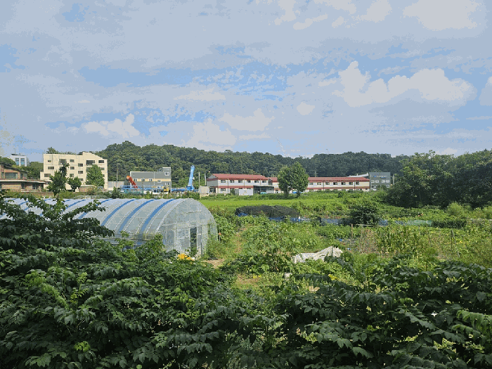 물건 사진 24
