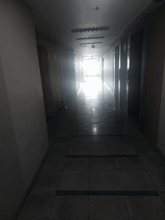 물건 사진 12