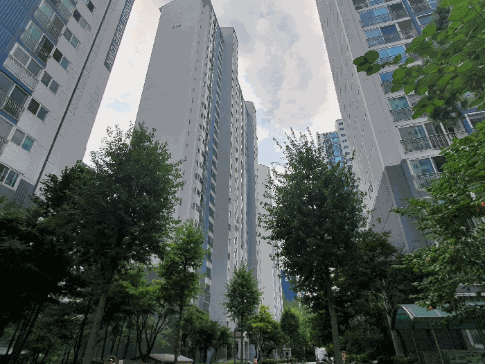 물건 사진 15