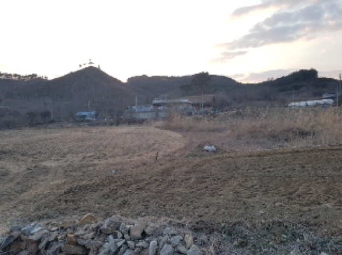 물건 사진 113