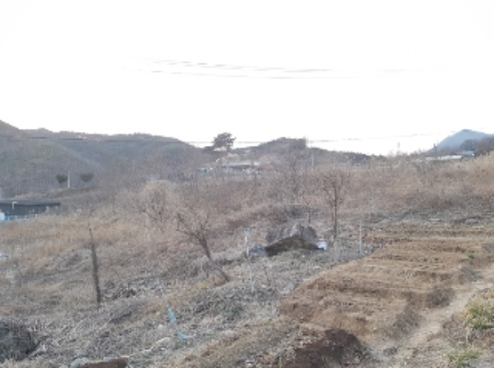 물건 사진 115