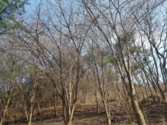 물건 사진 116