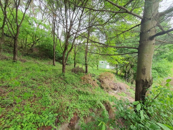 물건 사진 167