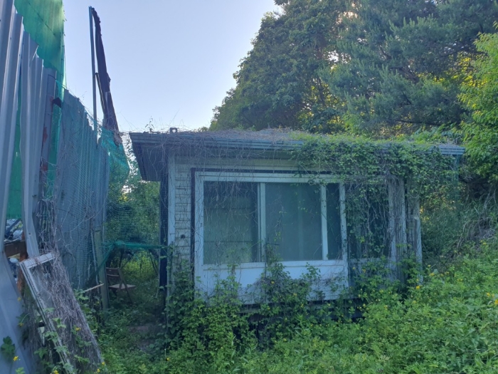 물건 사진 171