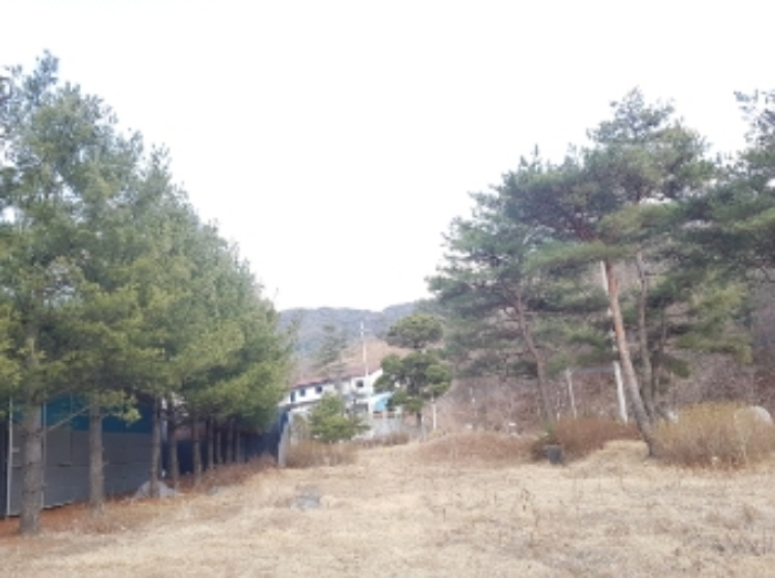 물건 사진 60