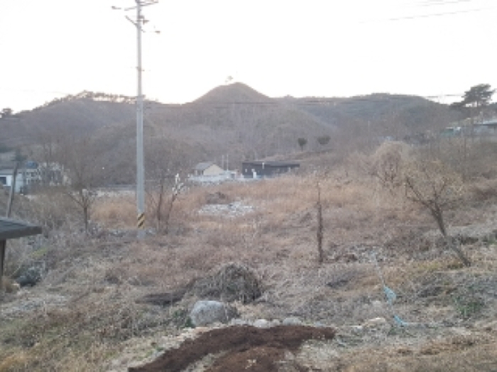물건 사진 157
