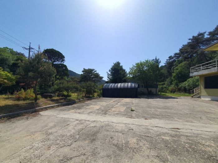 물건 사진 174