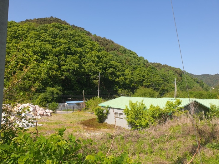 물건 사진 187