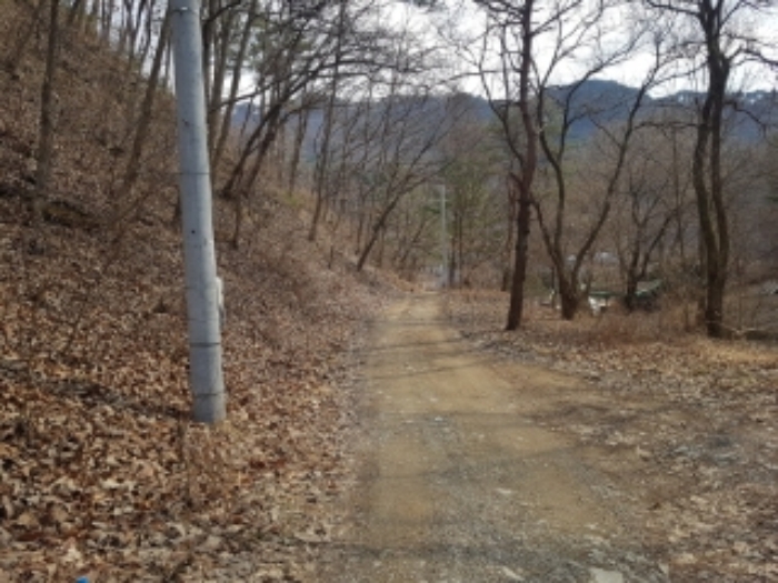 물건 사진 87
