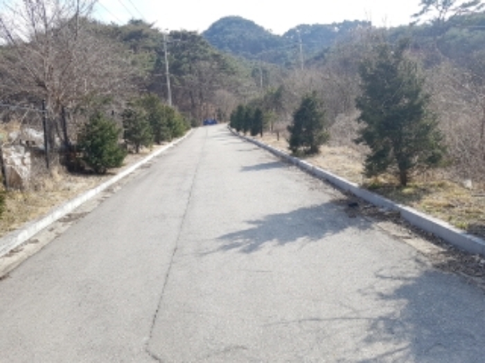 물건 사진 95