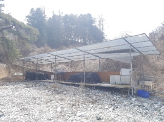 물건 사진 118