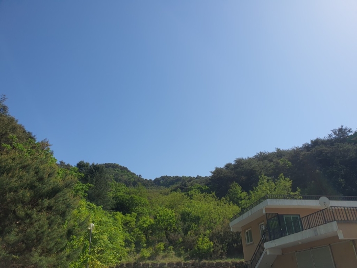 물건 사진 191