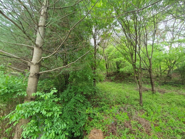물건 사진 198