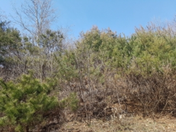 물건 사진 59
