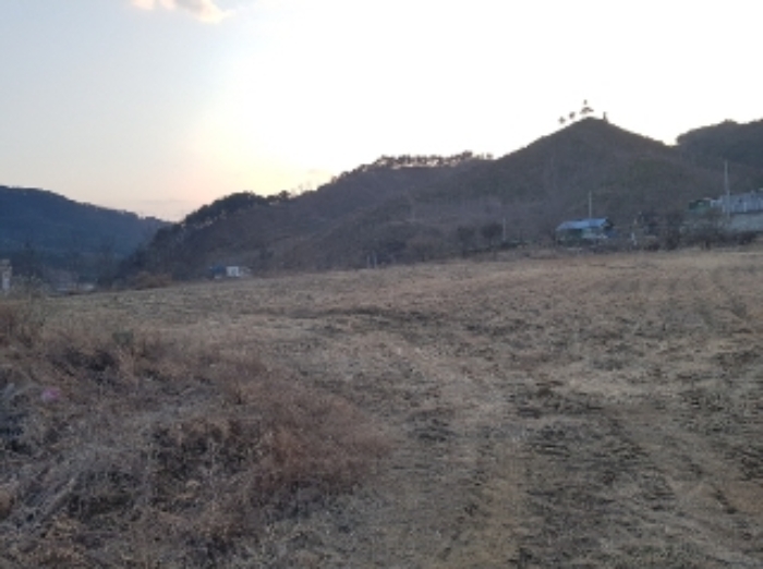 물건 사진 114