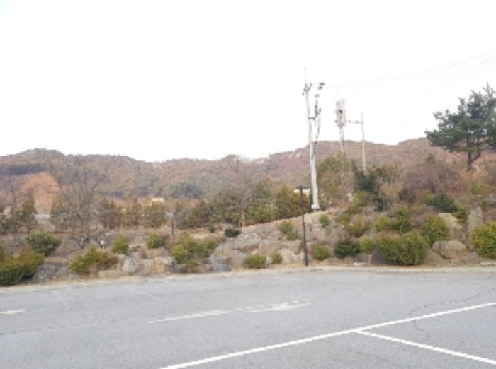 물건 사진 147