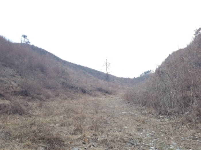 물건 사진 88