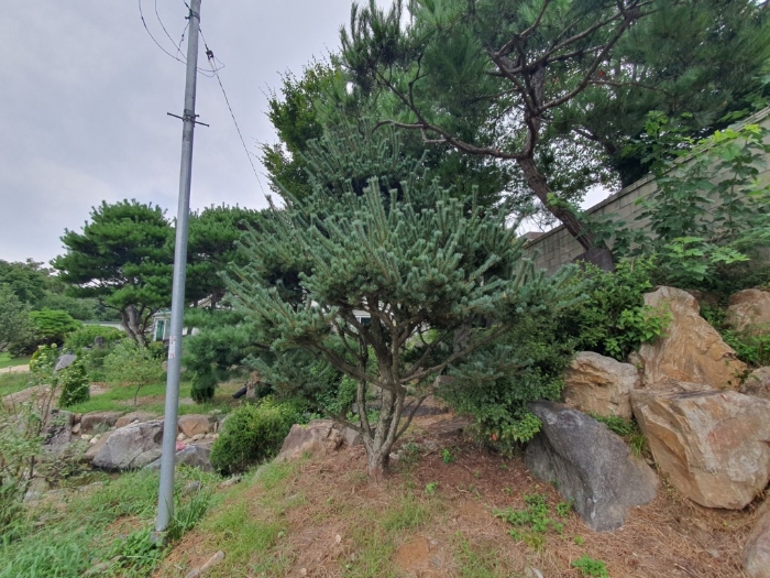 물건 사진 23