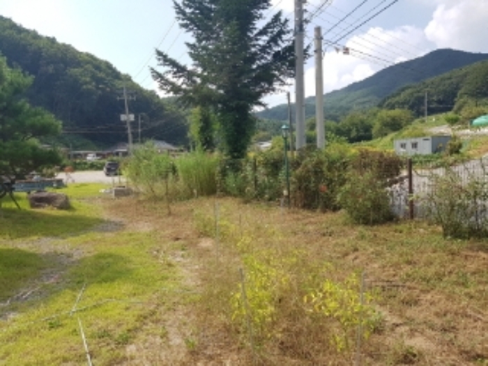 물건 사진 1