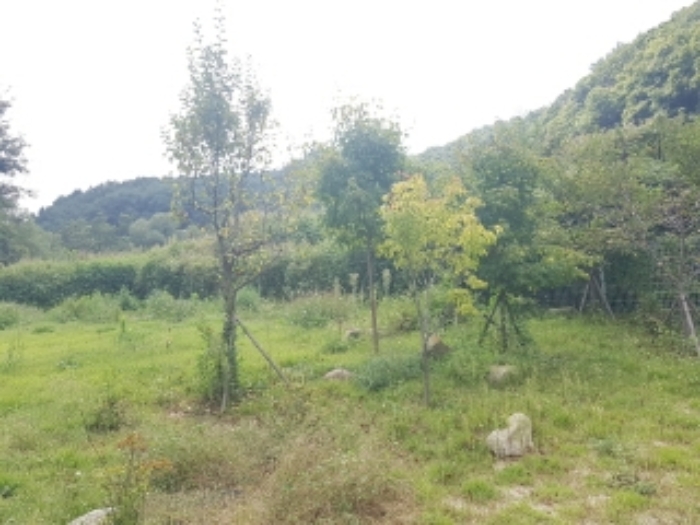 물건 사진 15