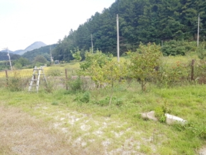 물건 사진 18