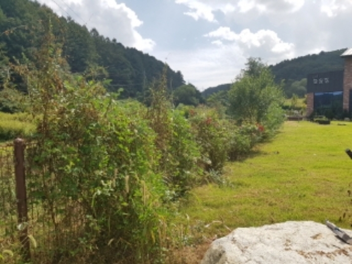 물건 사진 3