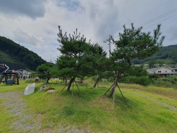 물건 사진 29
